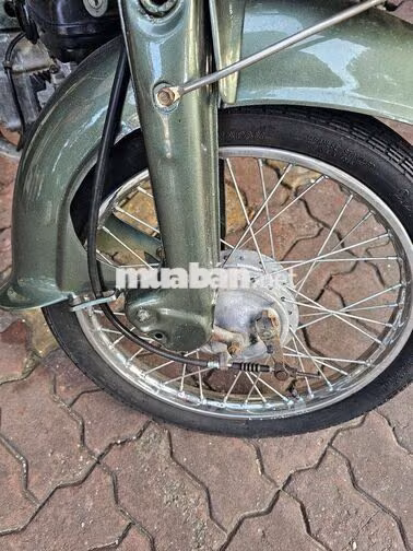 Honda Cup 81 50cc Xanh rêu đã sử dụng
