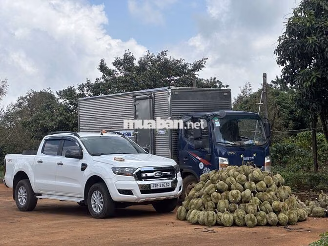 Ford Ranger 5 chỗ màu Trắng