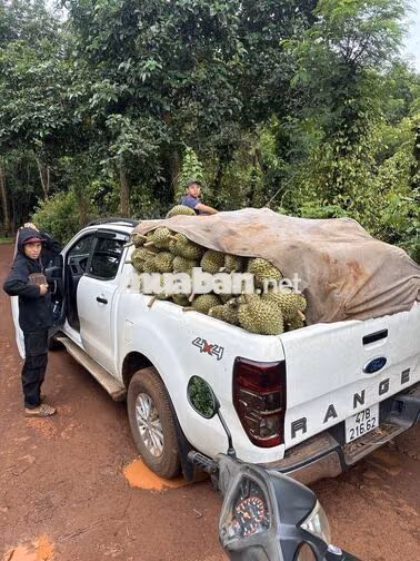 Ford Ranger 5 chỗ màu Trắng