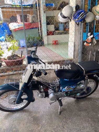 Honda Cub 81 Xanh