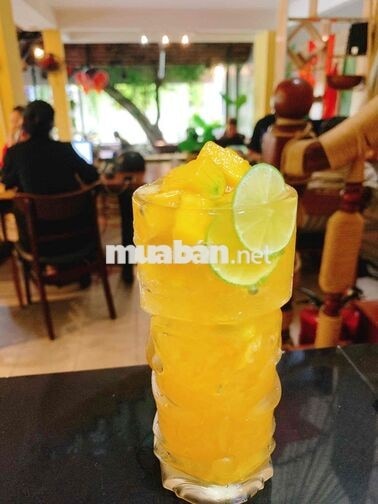 Tuyển Nv phục vụ nữ coffee &tea Phạm Huy Thông GV