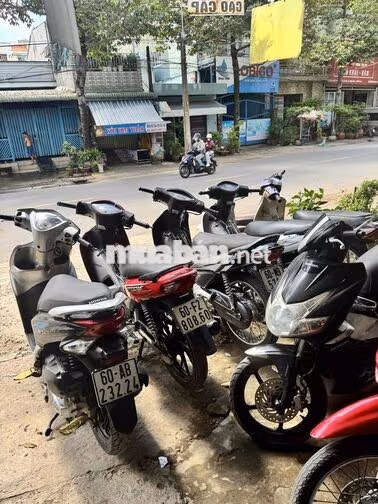 Honda Dream Nâu