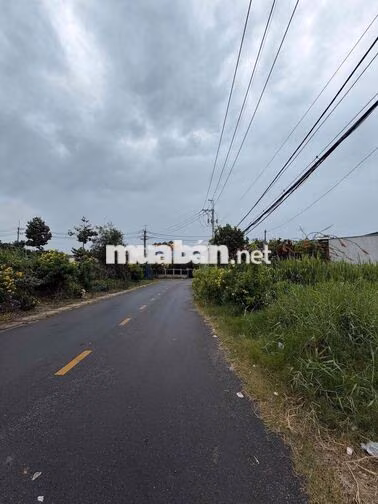 bát đất Tân Phú Trung 179m2(5x35) MT Đường Giồng Cát có sẵn thổ cư