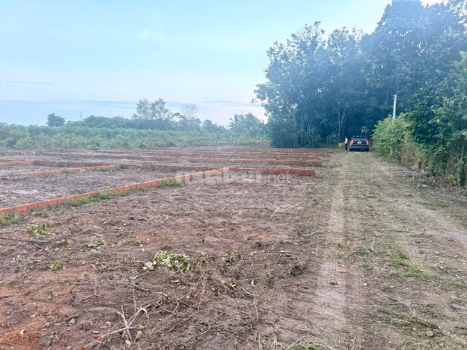 5x23 full thổ. Đường xe hơi. Gần trường học. 265tr 