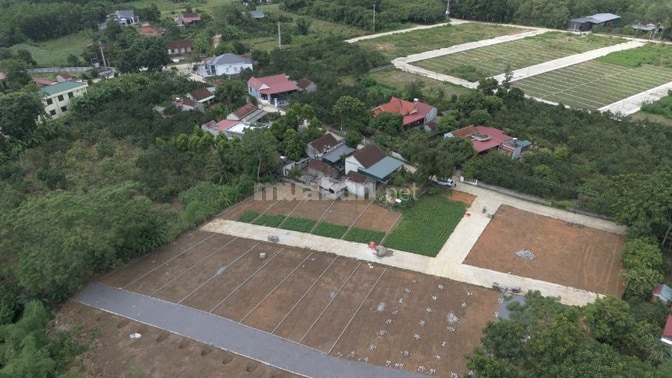 BÁN ĐẤT PHÂN LÔ TRUNG TÂM XÃ THẠCH QUẢNG, THANH HÓA Giá hơn 2 triệu/m²