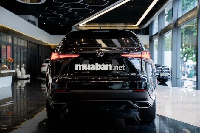 Lexus NX300 2021 mã Đen , Nội thất Nâu Hot Hot Hot