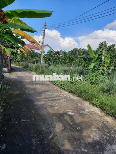 Bán gấp lô đất ở tại KP Vườn Vũ, ĐT 746, Tân Uyên, 1,76 tỷ, 255,6 m2