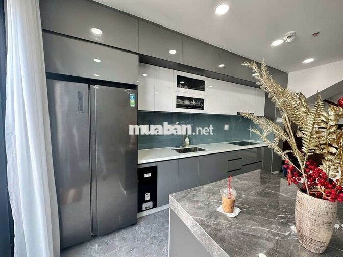 THUÊ PENTHOUSE CAO CẤP C-SKYVIEW CHÁNH NGHĨA – TDM 1,000USD