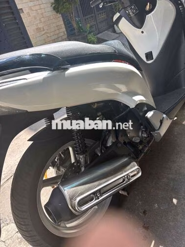 Honda SH 150 2011 Trắng