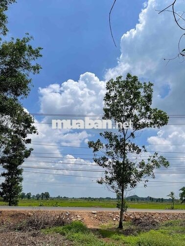 Bán đất MT, gần KDL núi chứa chan, Xuân phú, Tp.Đồng Nai