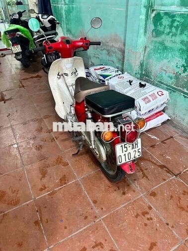 Honda Cup 50 Espero Đỏ