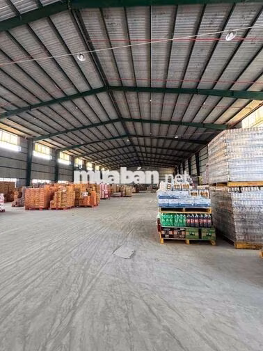 Cho thuê kho 3580m2 – Nguyễn Văn Linh Bình Tân giáp Q7