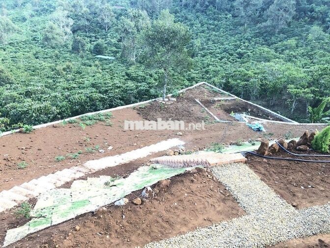 Bán đất mặt tiền đường nhựa phường 1 thành phố Bảo Lộc