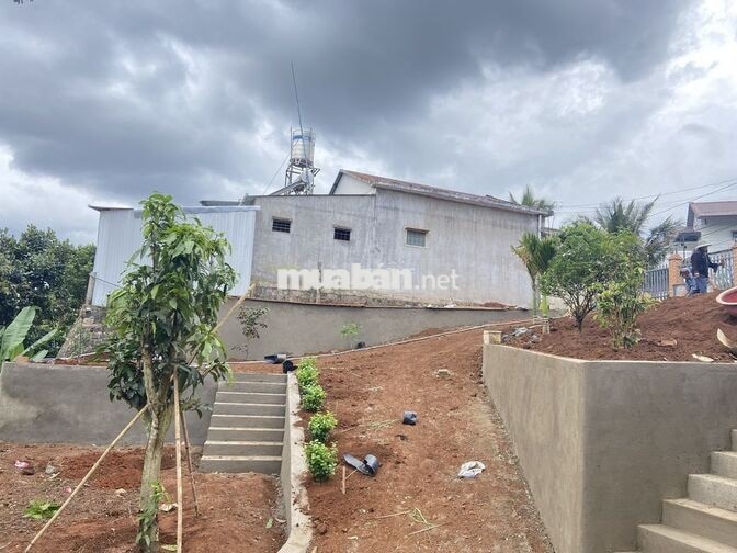 Bán đất mặt tiền đường nhựa phường 1 thành phố Bảo Lộc