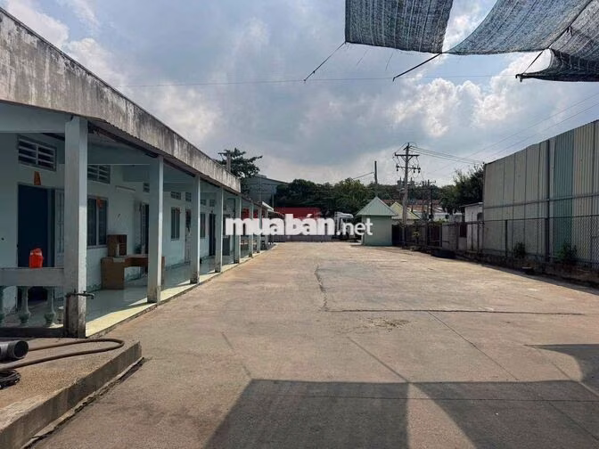 CHO THUÊ KHO XƯỞNG GẦN THÀNH PHỐ MỚI BD ĐƯỜNG CONT
