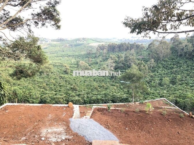 Bán đất mặt tiền đường nhựa phường 1 thành phố Bảo Lộc