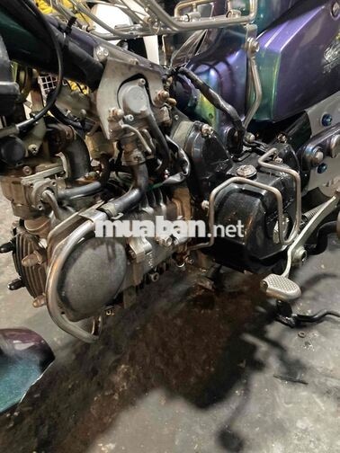 Honda Super Cub Tím, Xanh Đã dọn mới