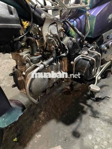 Honda Super Cub Tím, Xanh Đã dọn mới