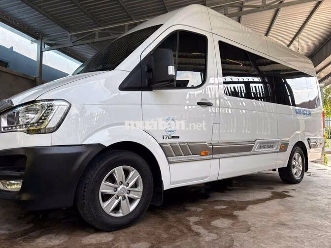 Hyundai Solati Dcar 2019 12 chỗ Trắng
