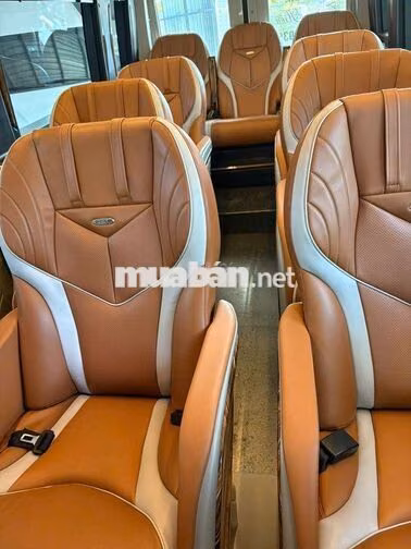 Hyundai Solati Dcar 2019 12 chỗ Trắng