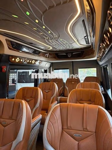 Hyundai Solati Dcar 2019 12 chỗ Trắng