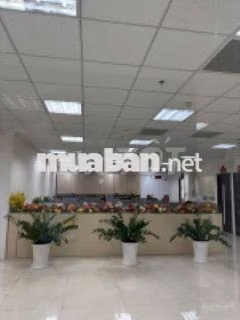 Cho thuê Tòa nhà VIettel Bình Dương (giá thỏa thuận)
