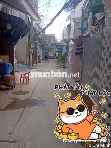 BÁN GẤP NHÀ NÁT HẺM 5M - 1 TRỤC MT TRỊNH ĐÌNH TRỌNG
