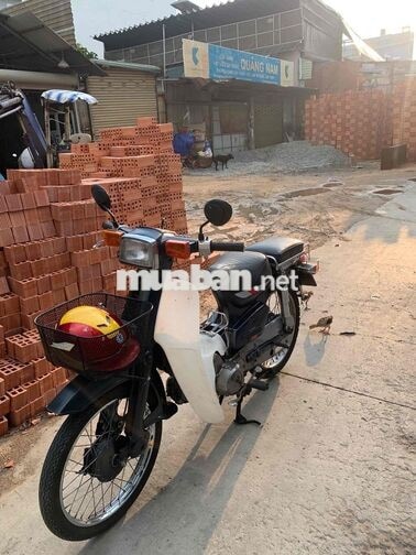 Honda Cub Tum 50cc có đề siêu bền và lợi xăng
