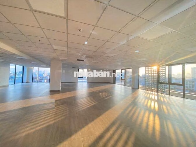Tòa nhà đường Nam Kỳ Khởi Nghĩa, Ngang: 12x25m, hầm 8 tầng cho thuê