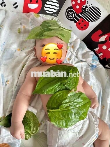 CẦN TUYỂN NHÂN VIÊN TẮM BÉ & CHĂM SÓC MẸ SAU SINH