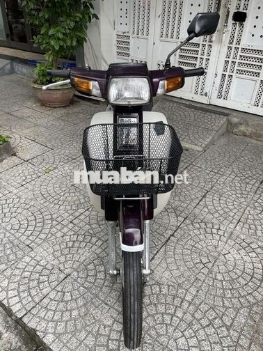 Honda Dream II 1998 Trắng, Đỏ mận