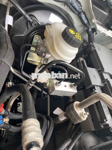 Ford Ranger XLS 4x2 2024 Tự động Trắng
