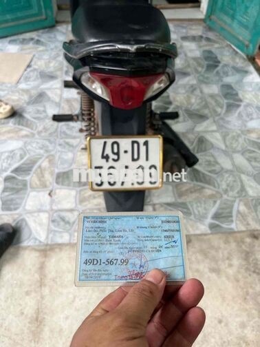 si fi 2019 bs dễ nhìn