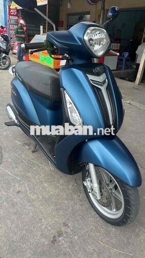 Grande siêu cọp zin đẹpbs 67 có góp có trao đổi x