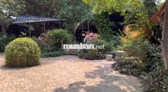 🏢 CHO THUÊ MẶT BẰNG RIÊNG BIỆT 1.500M² GẦN KĐT VĨNH ĐIỀM TRUNG 80 TR