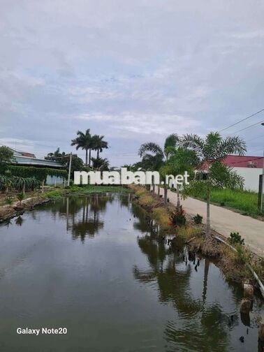 ĐẤT THỔ CƯ GIÁ 360 THƯƠNG LƯỢNG