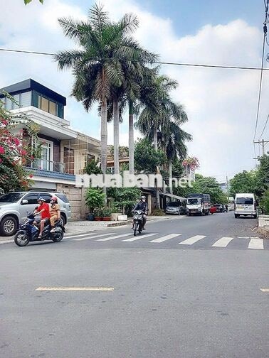 Cho thuê nhà hẻm xe hơi Nguyễn Hữu Dật