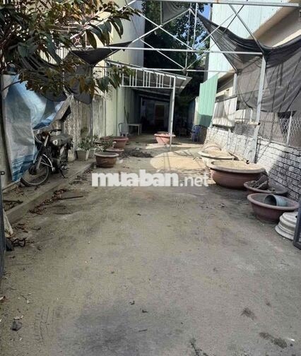 🔥ĐẤT KIỆT OTO PHẠM NHỮ TĂNG 121M2 GIÁ TỐT