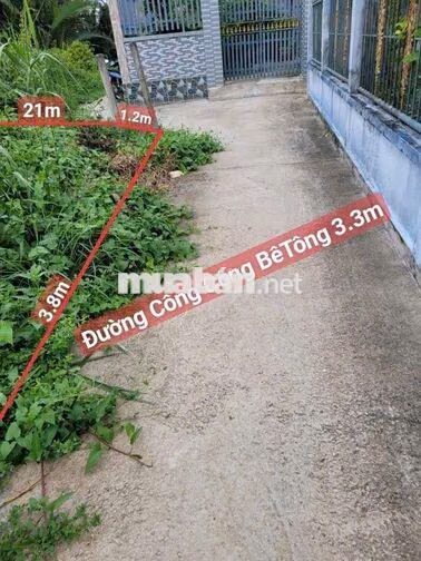 ĐẤT ODT 
mềm : P5  TP TÂN AN- LONG AN.CŨ..
Diện Tích: 103.7mv ODT shr