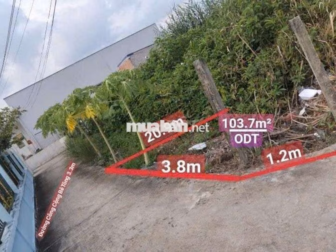 ĐẤT ODT 
mềm : P5  TP TÂN AN- LONG AN.CŨ..
Diện Tích: 103.7mv ODT shr