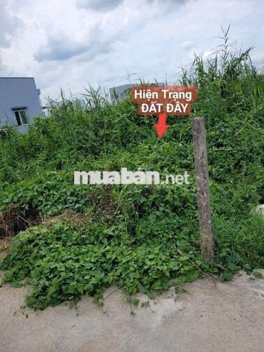 ĐẤT ODT 
mềm : P5  TP TÂN AN- LONG AN.CŨ..
Diện Tích: 103.7mv ODT shr