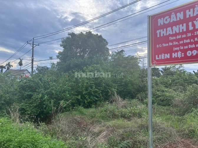Công ty Đấu giá hợp danh Lam Sơn Sài Gòn THÔNG BÁO ĐẤU GIÁ TÀI SẢN