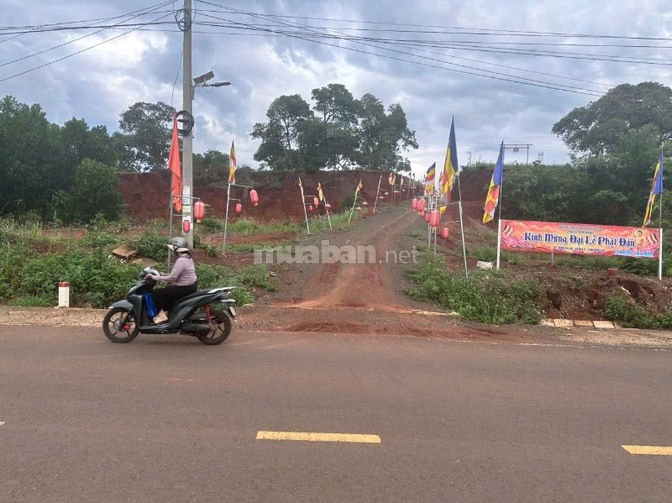 Công ty Đấu giá hợp danh Lam Sơn Sài Gòn THÔNG BÁO ĐẤU GIÁ TÀI SẢN