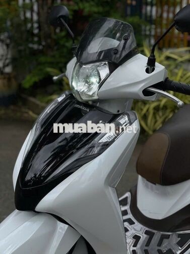 Honda Lead 2019 Trắng