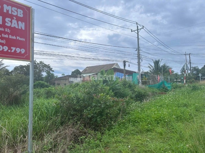 Công ty Đấu giá hợp danh Lam Sơn Sài Gòn THÔNG BÁO ĐẤU GIÁ TÀI SẢN