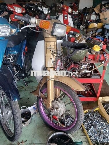 Honda Cub 82 50cc Vàng đồng