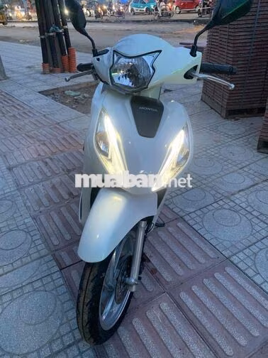 Honda Vision 2024 Trắng 3848 km