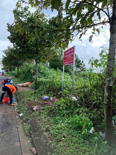 Công ty Đấu giá hợp danh Lam Sơn Sài Gòn THÔNG BÁO ĐẤU GIÁ TÀI SẢN