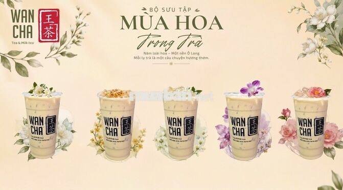 WAN CHA TÌM ĐỒNG ĐỘI