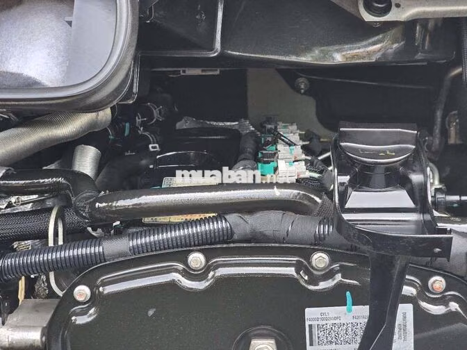 TRANSIT SVP SX T12/2019 CAM MÁY RIN 81000KM